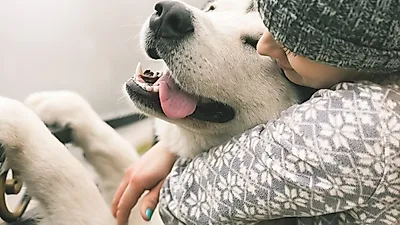 소중한 반려견의 '심장'에 귀 기울이기