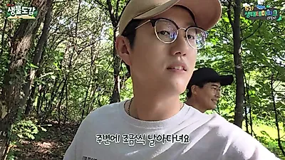 잠자리 모형 달면 눈초파리 퇴치될까? 직접 해본 실험 결과는