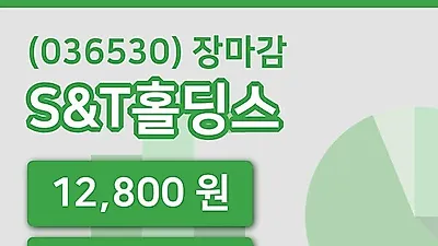 주식마감S&T홀딩스 16일 12,800원 장 마쳐그래프정리