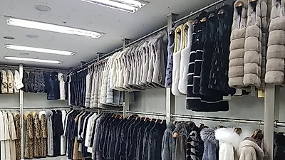 진성모피 온라인 타임특가 이벤트