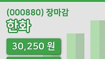 주식마감한화 24일 30,250원 장종료그래프종합정리