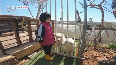 江华岛Hwangsan Island Hoppang一家，在利用回收物品制作的定制游乐场进行运动