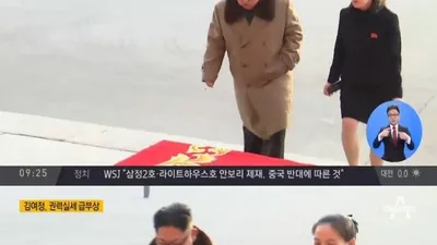 김여정, 고위급 대표로 방남…'백두혈통' 중 유일하게 북한 정권 실세로 급부상한 이유는?