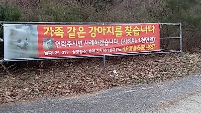 [단독]1000만원 포상금 걸린 포메라니안...사연은?