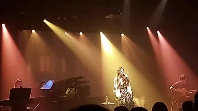 신개념 복합 예술 콘서트, 하림과 함께하는 음악여행 '피에스타' 6일 개최
