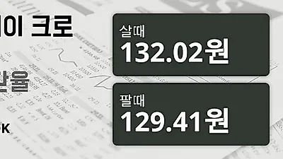 7일 노르웨이 크로네 살때 132.02원, 팔때 129.41원 ▲0.75%상승