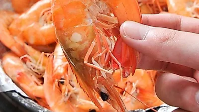 [2018가을축제] 가을 제철 대하를 더욱 맛있게 즐길 수 있는 안면도 백사장 대하축제