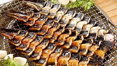 '2tv 저녁 생생정보' 장어구이 맛집 눈길..보양식 장어가 단돈 만원? 대체 위치가 어디길래