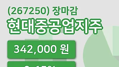 주식마감현대중공업지주 30일 342,000원 장 마쳐그래프종합