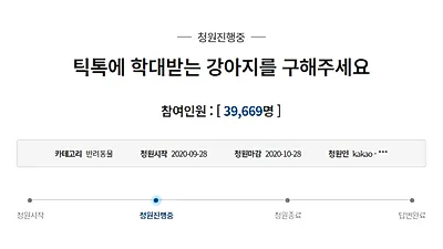 틱톡에 올라온 '빼짝' 마른 강아지…사료 '한 알' 주며 "하루량 다 먹었네"