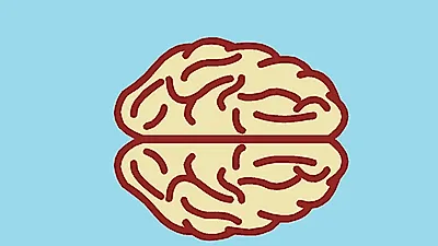 건망증이 심각해지면…  뇌를 죽이는 치매  막을 수 있는  메밀로 비타민C도 챙기자