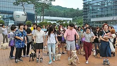 천안시, '반려견과 함께 걷는 건강한 발걸음' 성료