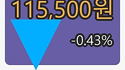 쿠쿠홀딩스 6일 마감가 115,500원 -0.43프로 변동..