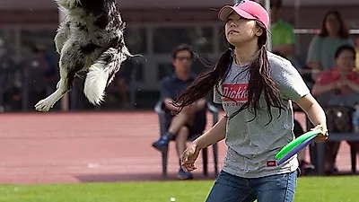 [포토] 여성 참가자와 견공의 완벽 묘기
