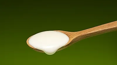 다이어트 성공과  우리 몸 건강도 책임져  프로바이오틱스·프리바이오틱스  항생제와 먹을 때 조심