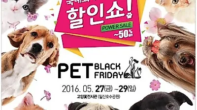 국내최대 애완용품 할인쇼 '2016 Pet BlackFriday' 개막