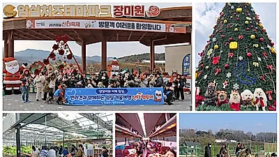 임실군, 반려견과 함께하는 겨울 여행 ‘산타 펫투어’ 운영
