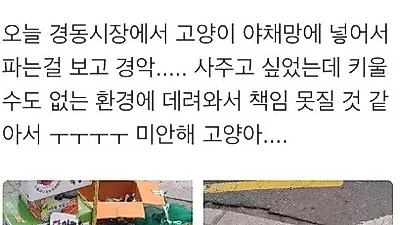 야채망에 고양이 담아 판매…'충격'