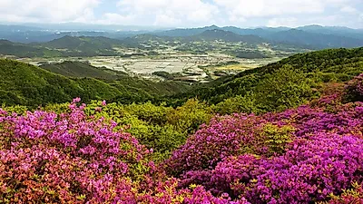 Lugares en Namwon ideales para viajar en otoño