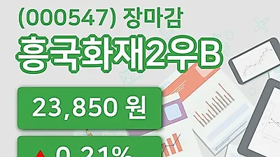 주식마감흥국화재2우B 5일 23,850원 장 마쳐그래프분석