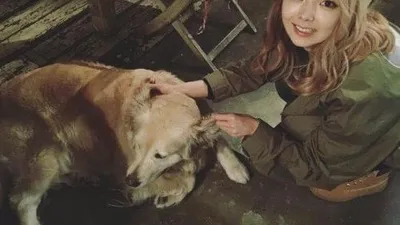 스텔라 효은, 대형견과 찰칵 "강아지"