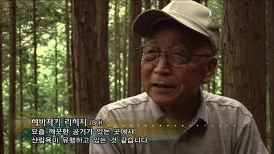 독일 숲 산책이 노인 통증 완화에 도움을 준 이유