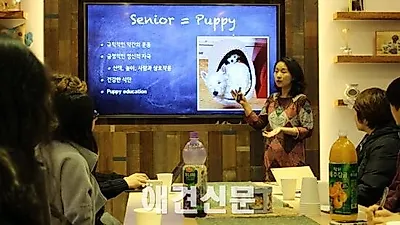 해마루 케어센터 문화교실, 20일 성황리에 개최