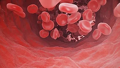 평균적인 혈당조절 상태 알려주는 '당화혈색소'… 당화혈색소정상수치 관리법은?