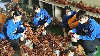 BHC ‘해바라기 봉사단’, 수확기 맞아 바쁜 농가 찾아 봉사활동