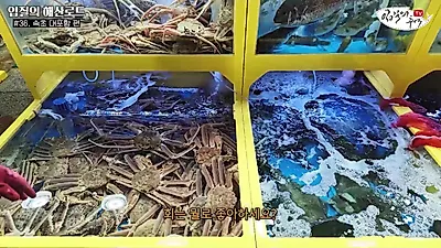 속초 대포항 수산시장, 15만 원 대게 코스 구성과 상인들의 입장