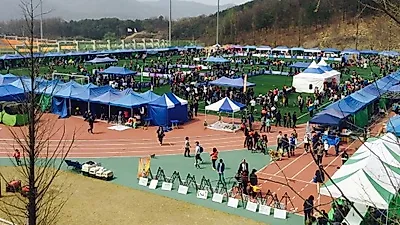 한국애견연맹 '2016강원 FCI 국제 도그쇼'현장