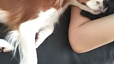 가희 반려견 하트, 볼수록 이뻐서 "미쵸"