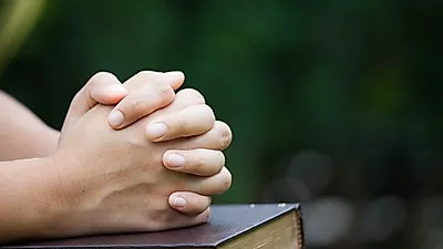 고양이 행동 그루밍, 왜 성폭력 뜻하나…"행복하게 해주겠다" 미끼로 입맞춤·성폭력 사실 '충격'