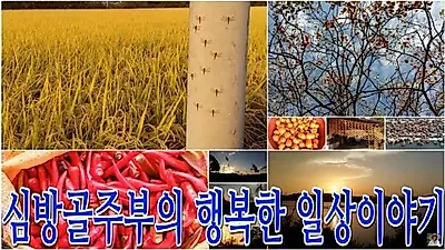'랜선라이프' 심방골주부, 촌스러운 자막에도 영상 하나가 200만뷰.. 누구길래? 운영자 아들까지 화제
