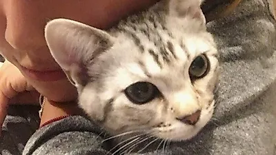 ns윤지, 고양이 안고 찰칵 '화보 같은 일상'
