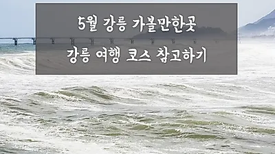 [포토] 5월 강릉 가볼만한곳, 여행 시 참고할 수 있어