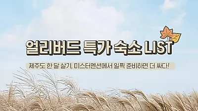 미스터멘션, 제주도 한 달 살기 "얼리버드 숙소 할인" 이벤트 진행