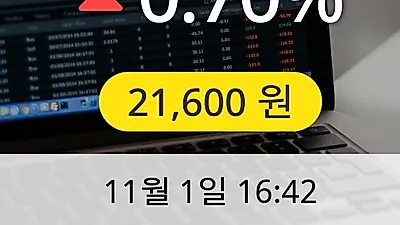 대한해운 1일 21,600원