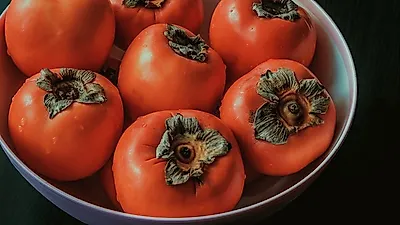 제철 맞아 맛있는 '감' 강아지도 먹여도 될까?