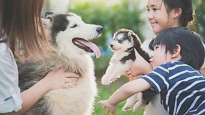 반려동물과 함께 지내면 스트레스↓ 행복감↑ "정신건강 개선돼"