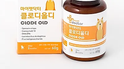 노령견 건강관리, 영양식 수제간식 등 노견 제품 속속 선보여