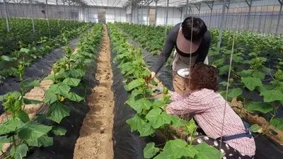 영월군, 귀농인 현장실습교육 결실 맺어