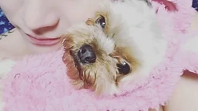 FT아일랜드 송승현, 반려견 콩알이와 투샷 "토끼 한 마리"