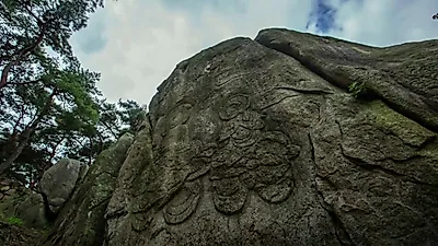 경주 남산 돌부처와 생태계가 연결된 이유