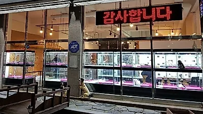 강아지·고양이 분양브랜드 ’아담스펫’ 상위 1% 퀄리티의 애견·애묘를 합리적 분양가로 제공