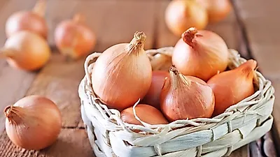[다이어트 음식] 양파 효능 살펴보니, 다이어트에 탁월…양파즙·양파장아찌 만드는 법을 알아보자