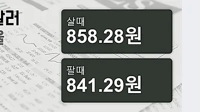 19일 캐나다 달러 살때 858.28원, 팔때 841.29원 ▼-0.19%감소