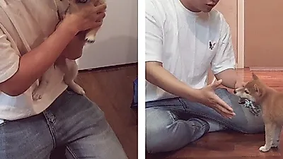 직접 강아지 방문훈련을 다니는 애견 행동교정 전문가 고민성 훈련사