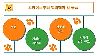 [반려인 상식] 반려동물에게 치명적인 ‘중독’ 일으키는 것