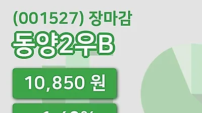 국내주식마감동양2우B 12일 10,850원 마감